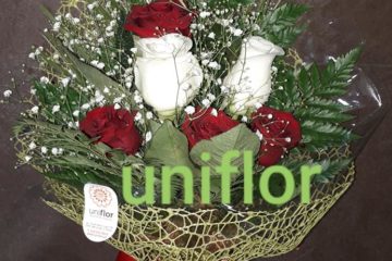 Arranjo de rosas vermelhas e brancas feito com muita criatividade e amor